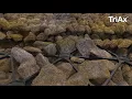 Short How Geogrids Work