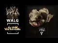 Lagu Walg - V (2025) [Full Album]