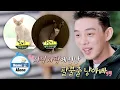 Yoo Ah In never touched a cat before he started raising them Home Alone Ep 350