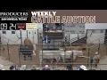 San Angelo Sale Ring Action West Texas Cattle at Producers Livestock Auction Company 2026