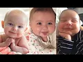 Download Lagu Cute Baby Moments Of The Week - Funny Baby Videos Compilation - Try Not To Laugh Babies👶😂 - Part 18