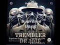 Supreme gang tremble de joie 