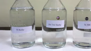 Preparation of Buffer stocks TBE TE and TAE - Amrita University