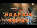 Lagu Ngapain Repot - Toton Caribo (Rock Cover) | Lirik