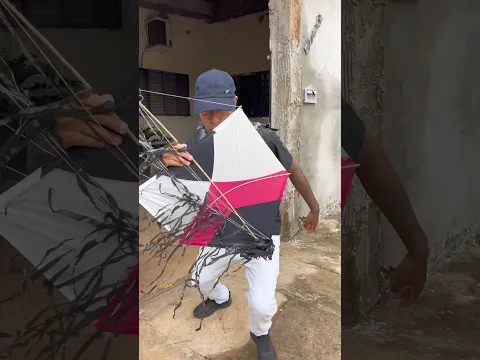 O plano pra pegar a pipa #viral #viralvideo #viralshorts #viralshort #comedia