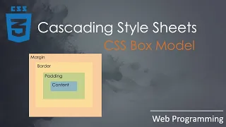 Learn the CSS box model CSS padding property CSS margin property and CSS border property