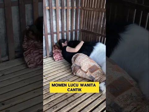 momen lucu ketika wanita cantik hobinya kalau tidur peluk kambing ‼️‼️‼️#lucu #hobi #unik #kambing