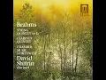 Clarinet Quintet in B Minor, Op. 115: I. Allegro