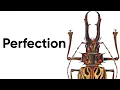 Download Lagu The Aesthetic Mastery Of Insects