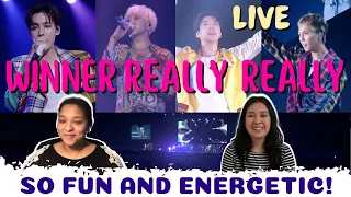 Download WINNER- REALLY REALLY (JAPAN TOUR 2019) | REACITON MP3