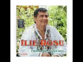 Download Lagu Ilie Roşu - Ies mândrele la plimbare