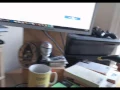 Raspberry Pi and USB barcode scanner - Speed input test with Python script