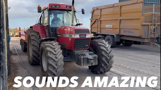 LOVELY SOUND OF A CASE & SHINY FLOOR AnswerAsAPercent 1802