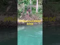 Download Lagu July 28, 2023#philippines #Bohol island #diving #lobocriver