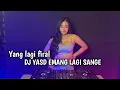 Download Lagu DJ YO NDAK MAMPU AKU DUDU SPEK IDAMANMU REMIX FULL BASS VIRAL 2022 INFONE MASEH - NINU NINU NINU