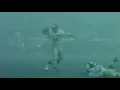CFL Grey Cup History