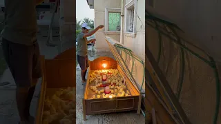 كيف حو لت سرير قديم إلى حاضنة كتاكيت دندنها