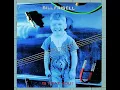 Twenty Years - Bill Frisell