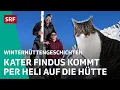 Lagu Katze mit Flugangst und neues Hüttenteam | Winterhüttengeschichten 2026 1/5 – SRF bi de Lüt | SRF