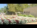 Latest News University of Arkansas expected to see record enrollment for fall semester