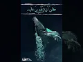 ذا النون
