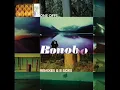 Bonobo - The Shark