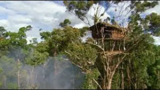 korowai tribe of southeastern papua indonesia 