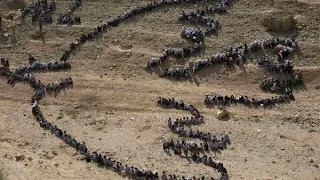 hating circles sad gaza song managuardian