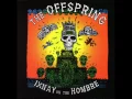 Download Lagu The Offspring - The Meaning Of Life
