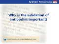 Antibody Validation Roundtable Specificity Sensitivity Reproducibility Validation