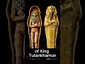 Lagu Unveiling King Tut's Tomb Sarcophagus and Mummy #documentary #fact #history #tutankhamun #egyptian