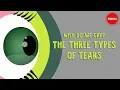 Download Lagu Why do we cry? The three types of tears - Alex Gendler
