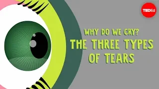 Why Do We Cry The Three Types Of Tears Alex Gendler  Why Do We Cry The Three Types Of Tears Alex Gendler
