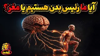                                                        دندنها