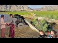 Download Lagu Saladin’s Burdened Journey: A Father’s Strength Amid Fatemeh’s Absence 🚗🌾👨‍👧‍👦\