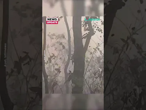 Taman Nasional Gunung Ciremai Terbakar, Angin Kencang dan Medan Terjal Jadi Kendala Pemadaman