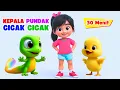 Cicak Cicak di Dinding - Kepala Pundak Lutut Kaki dan Lagu Anak Nursery Rhymes - Lagu Balita TK PAUD