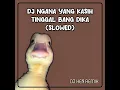 Download Lagu DJ NGANA YANG KASIH TINGGAL BANG DIKA SLOWED