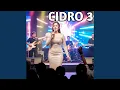 CiDRO 3