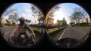                            دندنها