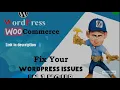 I will fix wordpress issues bugs or errors in 1 hour