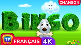 Chien De Bingo (Bingo Dog) | ChuChu TV Comptines et Chansons pour Enfants #ChuChuTV100M