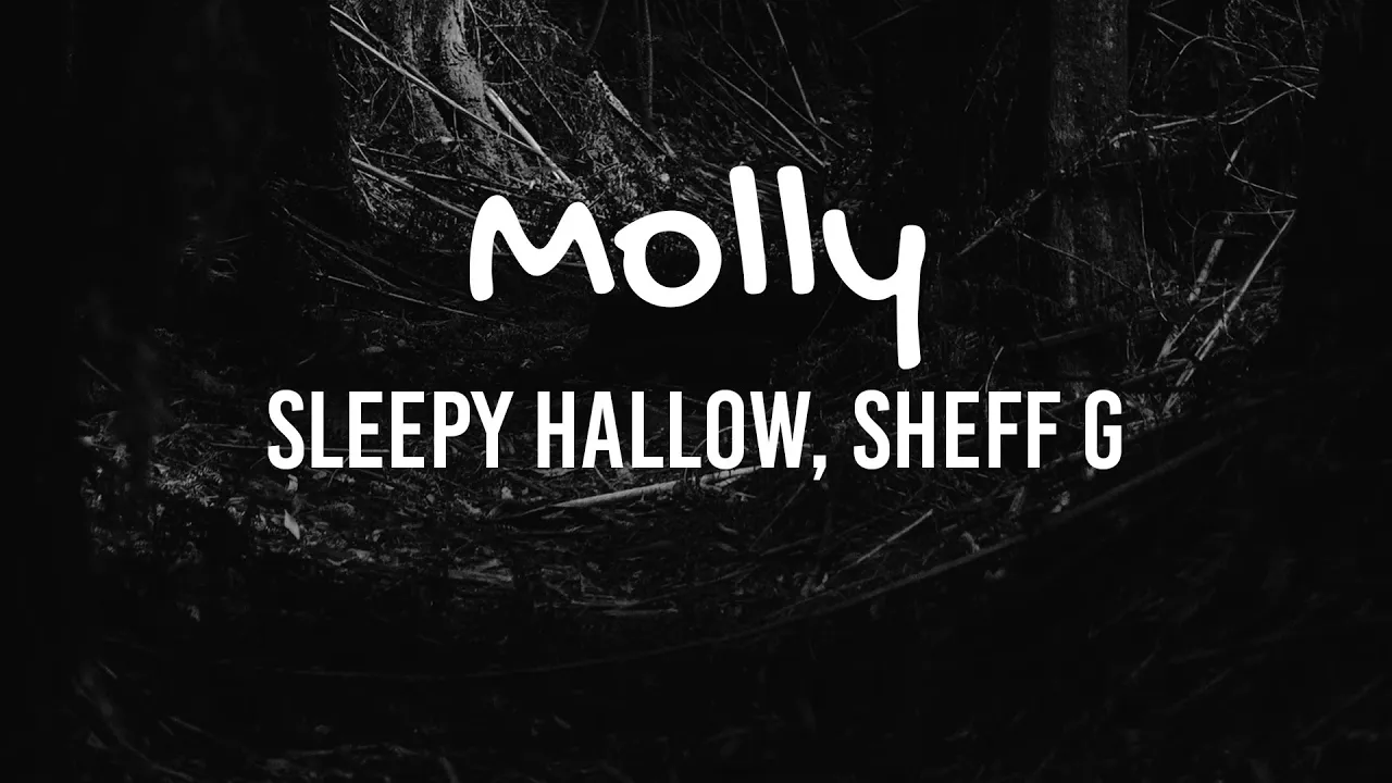 Sleepy Hallow, Sheff G - Molly // LYRICS // HECK RAP