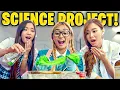 9 Types of Students in a Group Project