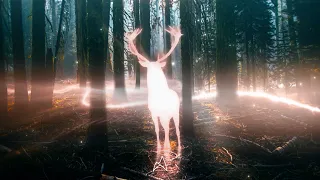 Arc North Reo Cragun Better Life Official Visualizer 