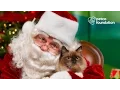 Photos with Santa Petco