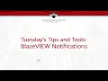 BlazeVIEW Notifications