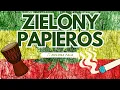 Download Lagu Zielona Fala - Zielony Papieros | NOWOŚĆ REGGAE 2025