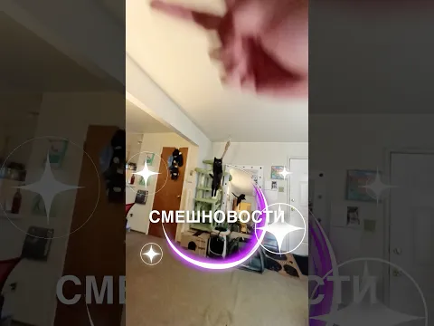 Смешновости 208 - для хорошего настроения! 🥰 #истории #история #новости #новость #shorts
