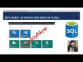 How to Restore Master Data Service Model with Data